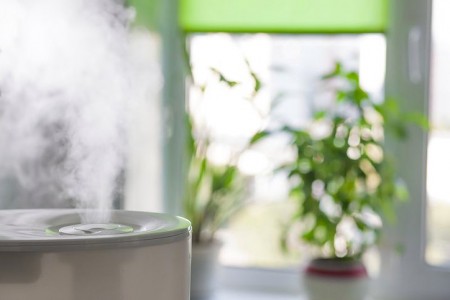 inconvénients humidificateur d'air